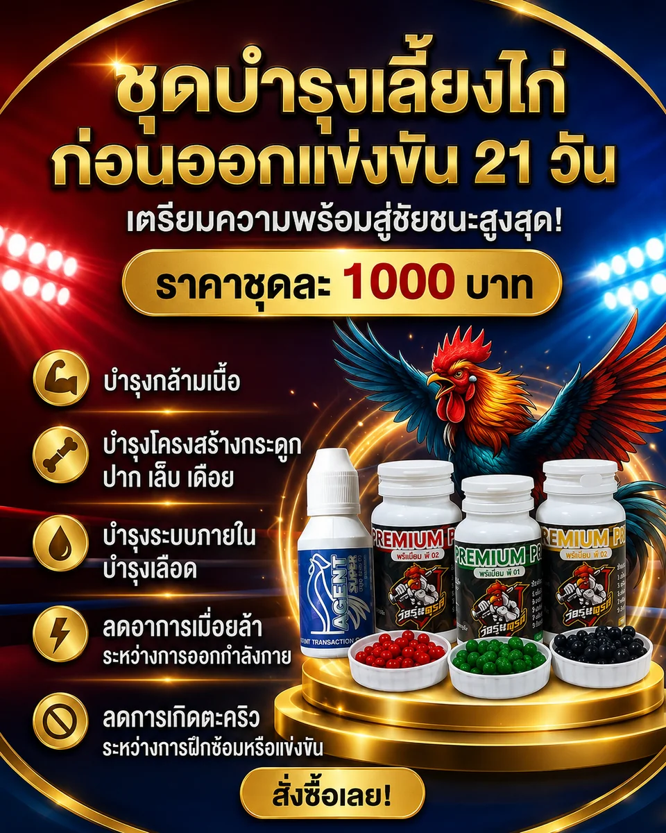 ชุดบำรุงเลี้ยงก่อนแข่งขัน 21 วัน (PREMIUM P01+P02+P03+SUPER HIGHPHOS)