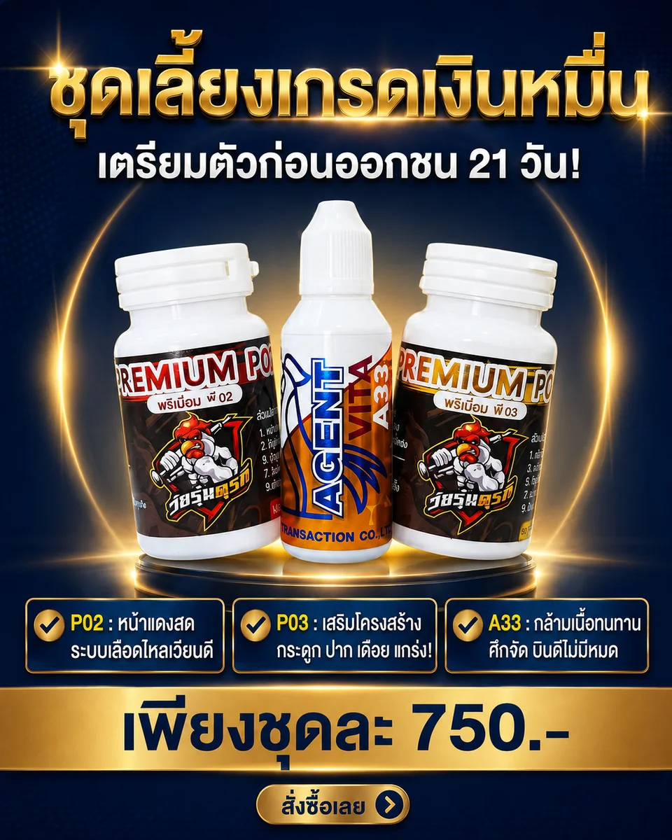 ชุดเลี้ยงเกรดชนหมื่น (PREMIUM P02+P03+VITA A33)